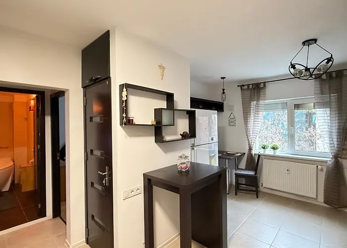 Felix 41 - Piata Victoriei, Near Metro - Rh Living Apartment *